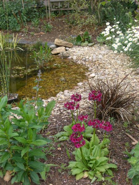 Bishop of Huntingdon's Garden